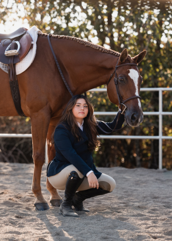 HorseID: 2302372 Supersized Sensation - PhotoID: 1084586