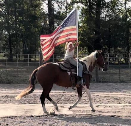 HorseID: 2302383 Bring The Noise - PhotoID: 1084699