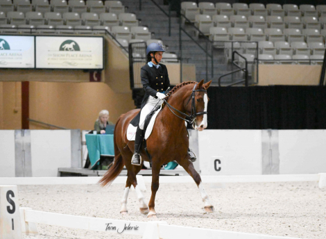 HorseID: 2302411 Tucker's Flashy Fireball - PhotoID: 1084629