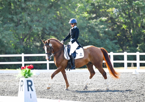 HorseID: 2302411 Tucker's Flashy Fireball - PhotoID: 1084631