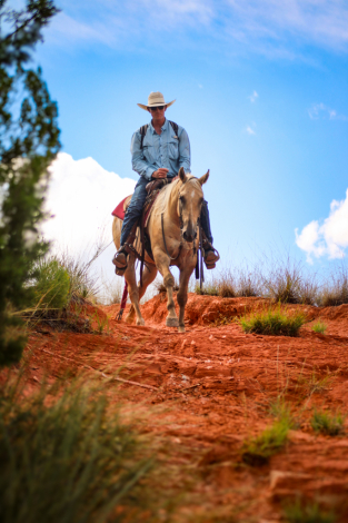 HorseID: 2302412 Garfielddriftndreams - PhotoID: 1084627