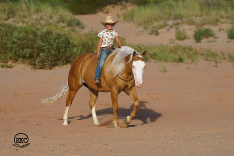 HorseID: 2302427 SS DIAZ DUNNIT - PhotoID: 1084647