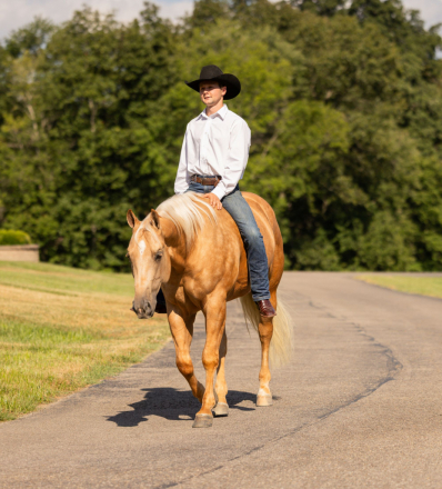 HorseID: 2302429 LATE NIGHT PEPTO - PhotoID: 1084653