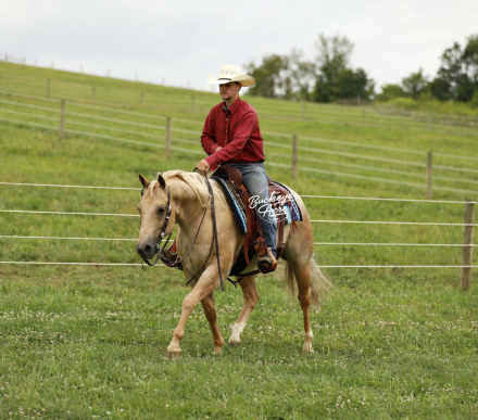 HorseID: 2302432 MTCUP YELLOW BADGER - PhotoID: 1084655