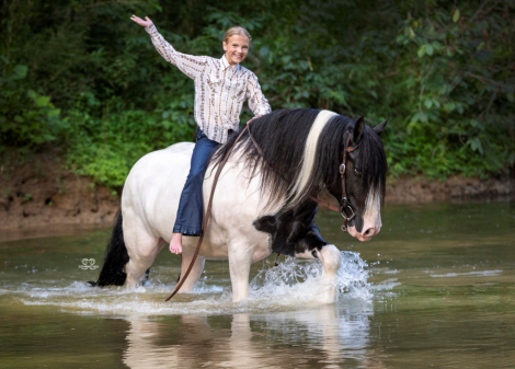 HorseID: 2302438 GHV JAMESON - PhotoID: 1084663