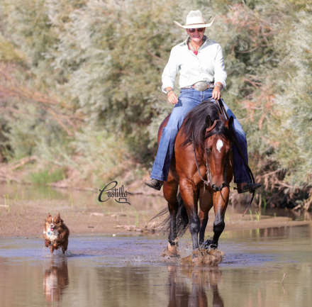 HorseID: 2302439 SPARKLING NITES - PhotoID: 1084667