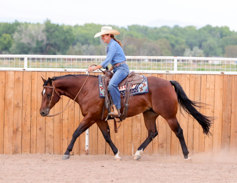 HorseID: 2302439 SPARKLING NITES - PhotoID: 1084668