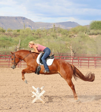 HorseID: 2302440 FOCUS ON THE BLUE - PhotoID: 1084673