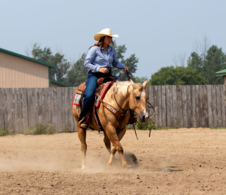 HorseID: 2302441 BS YELLOW SANNMAN - PhotoID: 1084676