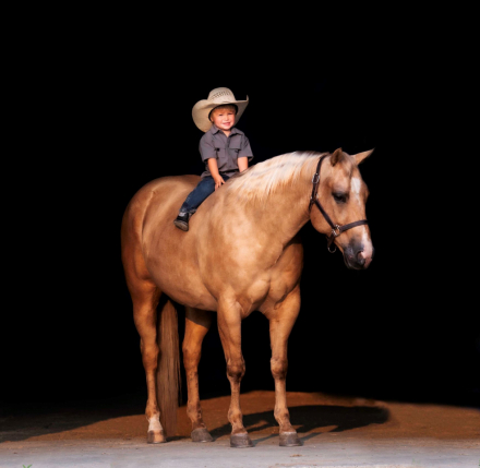 HorseID: 2302441 BS YELLOW SANNMAN - PhotoID: 1084677