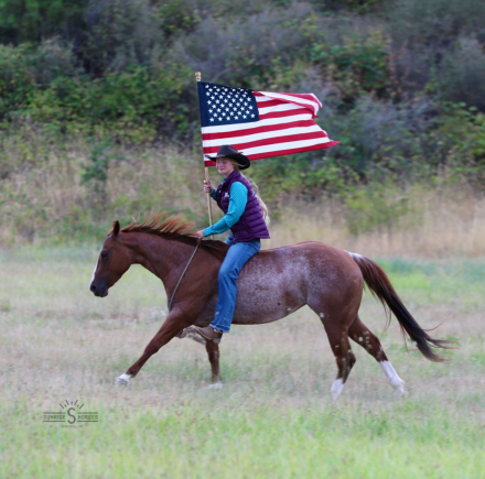 HorseID: 2302443 METALLIC BOOTS - PhotoID: 1084679