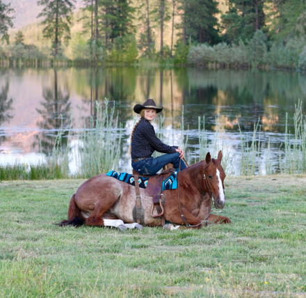 HorseID: 2302443 METALLIC BOOTS - PhotoID: 1084680