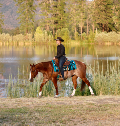 HorseID: 2302443 METALLIC BOOTS - PhotoID: 1084681