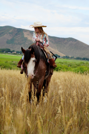 HorseID: 2302447 June Bug - PhotoID: 1084688