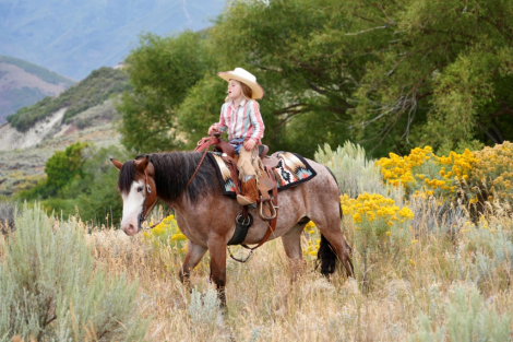 HorseID: 2302447 June Bug - PhotoID: 1084689