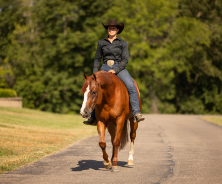 HorseID: 2302450 FAMOUS FRIENDS - PhotoID: 1084691