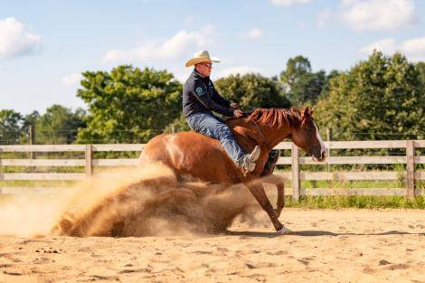 HorseID: 2302450 FAMOUS FRIENDS - PhotoID: 1084692