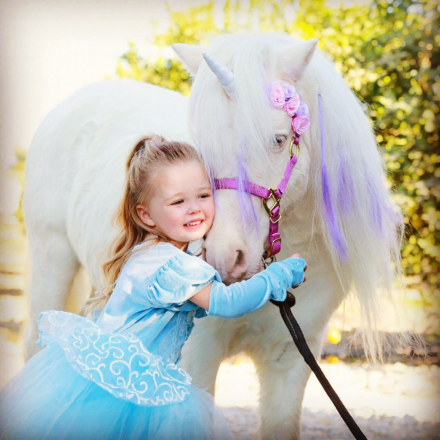 HorseID: 2302453 Arkas (Greek god) - PhotoID: 1084694