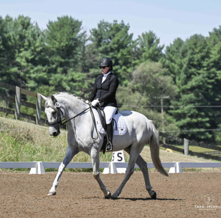 HorseID: 2302475 Siberiana - PhotoID: 1084718