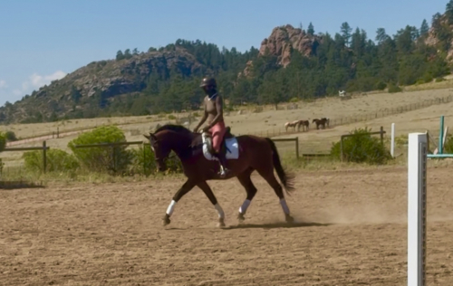 HorseID: 2302478 American Flag - PhotoID: 1084722