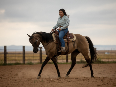 HorseID: 2302498 Good As Chocolate - PhotoID: 1084741