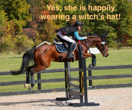 HorseID: 2302525 Gandhi's Teardrop - PhotoID: 1084792