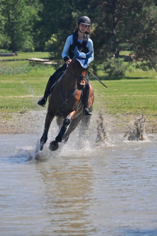 HorseID: 2302525 Gandhi's Teardrop - PhotoID: 1084793