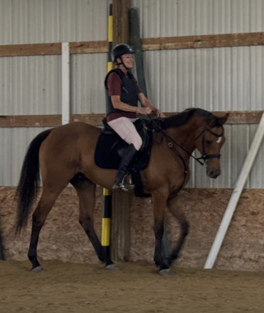 HorseID: 2302527 Easy Boy - PhotoID: 1084765