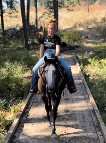 HorseID: 2302549 AMAZING MORIA - PhotoID: 1084786