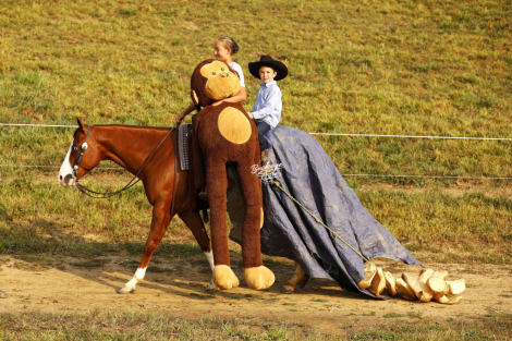 HorseID: 2302575 SNOW GUNNER - PhotoID: 1084807