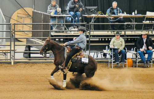 HorseID: 2302576 SCOTCHES RITA - PhotoID: 1084811