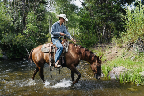 HorseID: 2302576 SCOTCHES RITA - PhotoID: 1084812