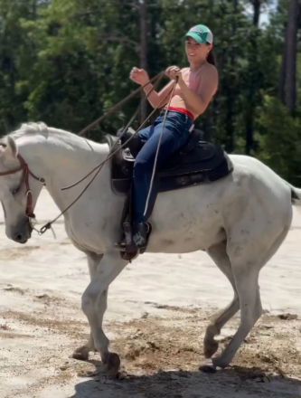 HorseID: 2302582 Tempted Fate - PhotoID: 1084817