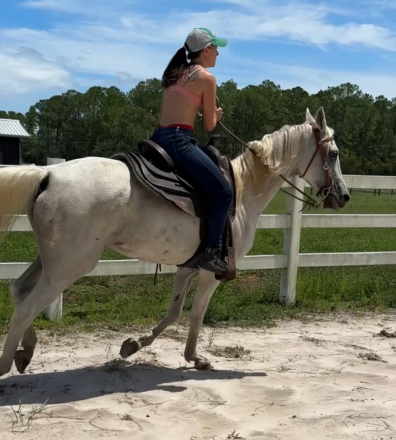 HorseID: 2302582 Tempted Fate - PhotoID: 1084818