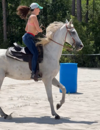 HorseID: 2302582 Tempted Fate - PhotoID: 1084819