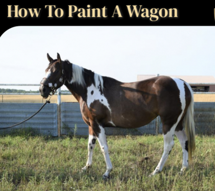 HorseID: 2302588 How to Paint A Wagon - PhotoID: 1085136