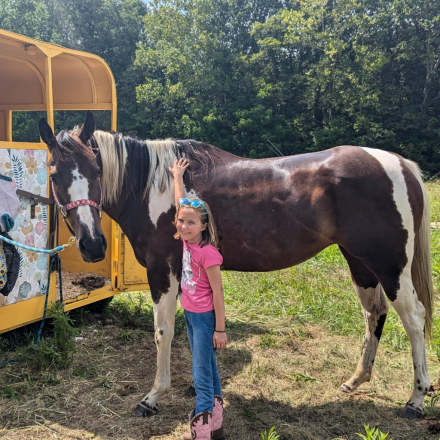 HorseID: 2302588 How to Paint A Wagon - PhotoID: 1085137