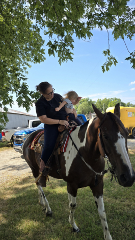 HorseID: 2302588 How to Paint A Wagon - PhotoID: 1085138