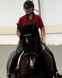 HorseID: 2302589 Gelato - PhotoID: 1084827