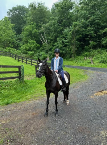 HorseID: 2302611 Dorothea (Dot) - PhotoID: 1084851