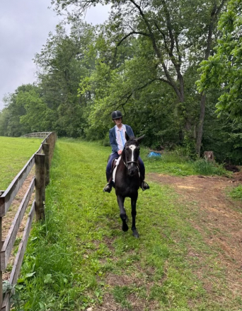 HorseID: 2302611 Dorothea (Dot) - PhotoID: 1084852