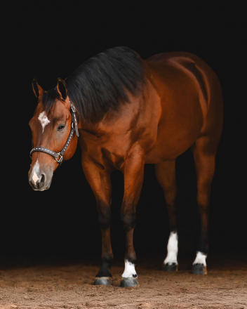 HorseID: 2302634 Certainly Hot N Waco - PhotoID: 1085263