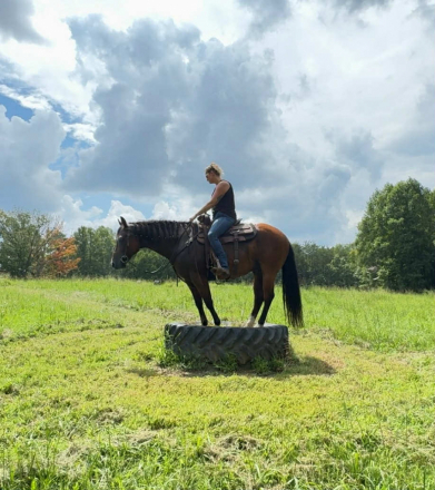 HorseID: 2302634 Certainly Hot N Waco - PhotoID: 1085266