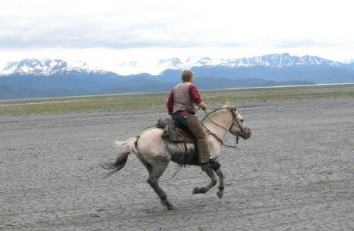 HorseID: 2302638 Snowy's Asher - PhotoID: 1084885