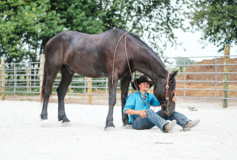 HorseID: 2302656 Trevor EM - PhotoID: 1085050