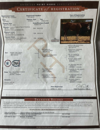 HorseID: 2302658 Slow Wet Kisses TR - PhotoID: 1085047