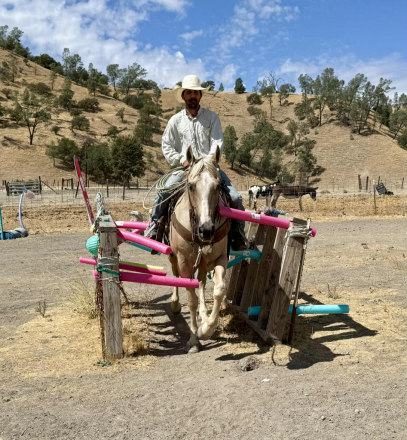 HorseID: 2302659 777 Jackpot - PhotoID: 1085022