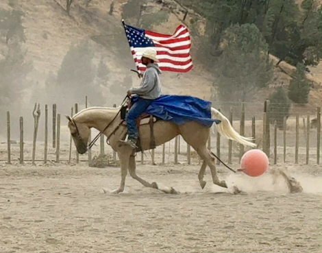 HorseID: 2302659 777 Jackpot - PhotoID: 1085023