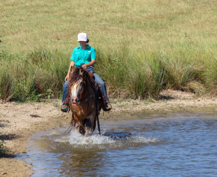 HorseID: 2302659 GYPSY TREASURES OH THAT OPIE - PhotoID: 1098283