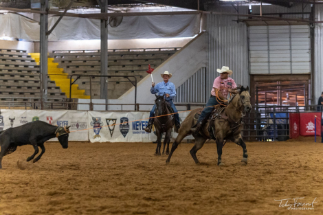 HorseID: 2302672 GBH CASHWOOD - PhotoID: 1084952